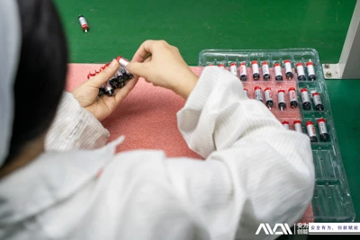 The Endurance of Lithium-Ion Battery