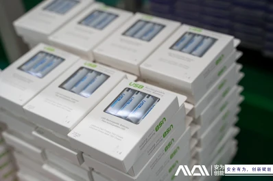 Economic Efficiency: Long-term Cost Advantages of Rechargeable Lithium-ion Ba...